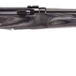 SAVAGE ARMS A22 22LR BL/LAM 22" T'HOLE STK