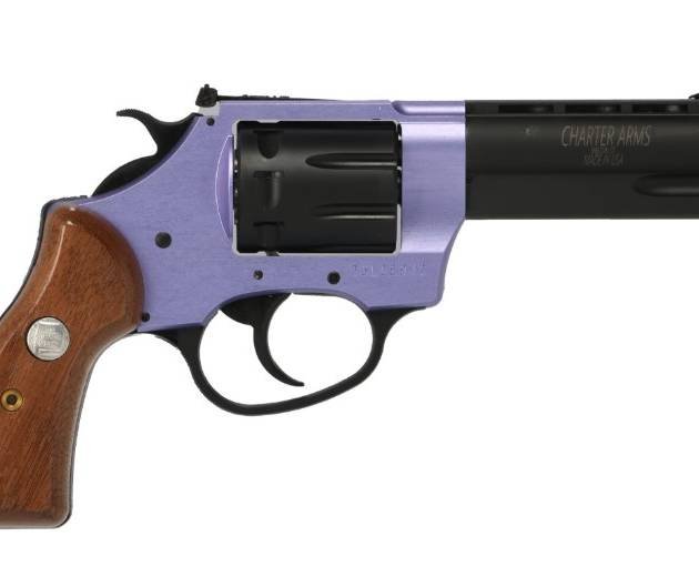CHARTER ARMS PATHFINDER II 22LR LAV/WD 3.5"