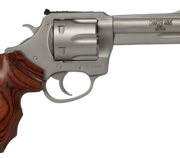 CHARTER ARMS THE PROFESSIONAL 357MAG SS
