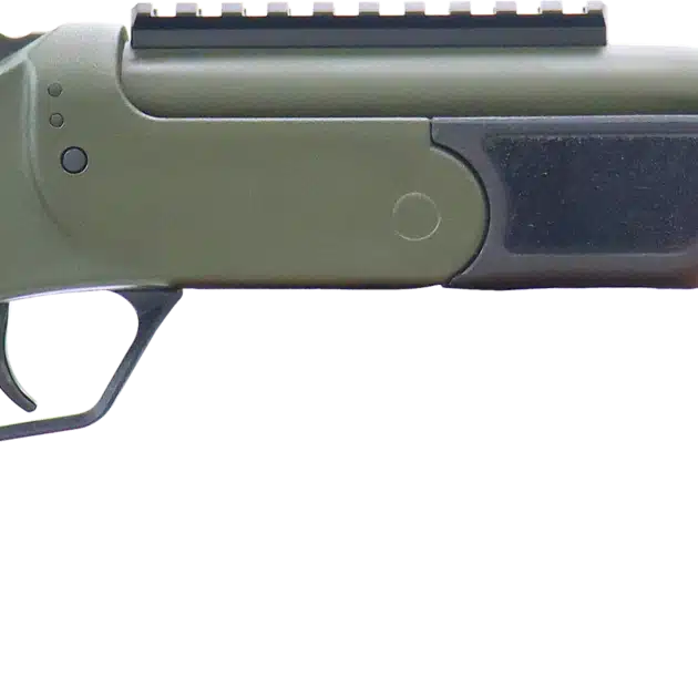 ROSSI BRAWLER 300BLK 9" BL/ODG     #