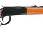 ROSSI RIO BRAVO 22WMR BL/WD 20" #