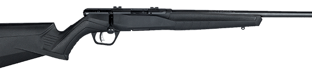 SAVAGE ARMS B17 COMPACT 17HMR BL/SYN 18"
