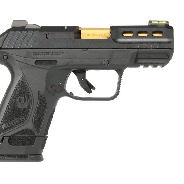 RUGER SECURITY-380 380ACP BLK/GLD