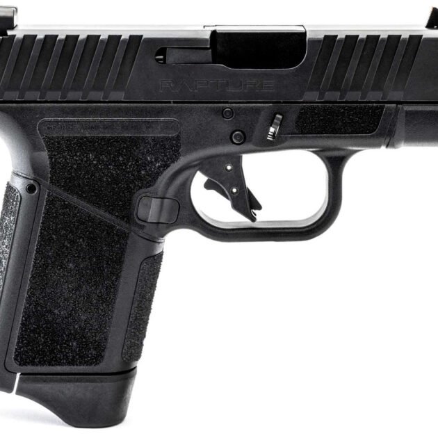 GForce Arms GF9DD12 GF9 Rapture-X 9mm Semi-Auto Handgun 3.25" 12+1 Black